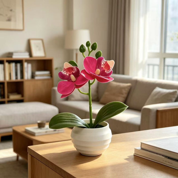 Levensechte Decoratieve Orchidee Plant Arrangement voor Huisdecoratie