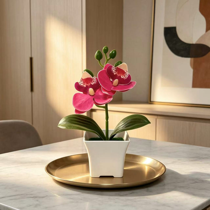 Elegante Kunstorchidee Plant Weergave voor Binnendecoratie