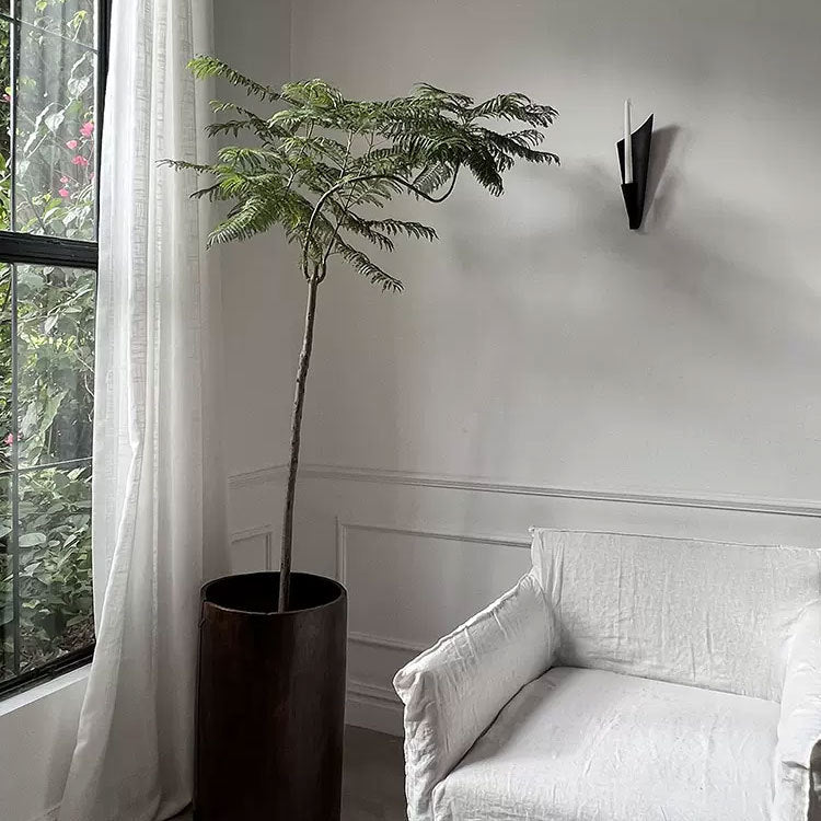 Moderne Decoratieve Wand Plantenbak