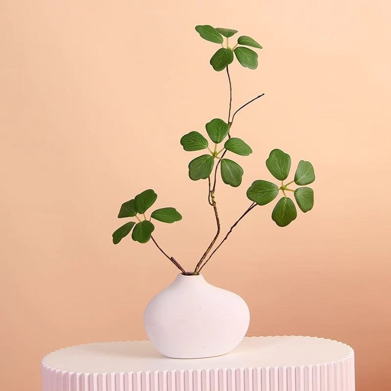 Minimalistische Decoratieve Plantenarrangement