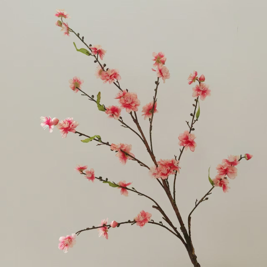 Decoratieve Kersenbloes tak