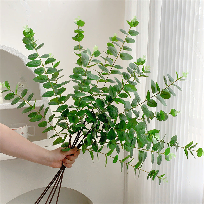 Decoratieve Eucalyptus Tak
