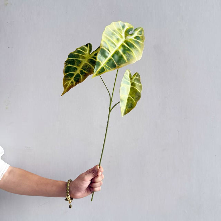 Moderne Decoratieve Plant
