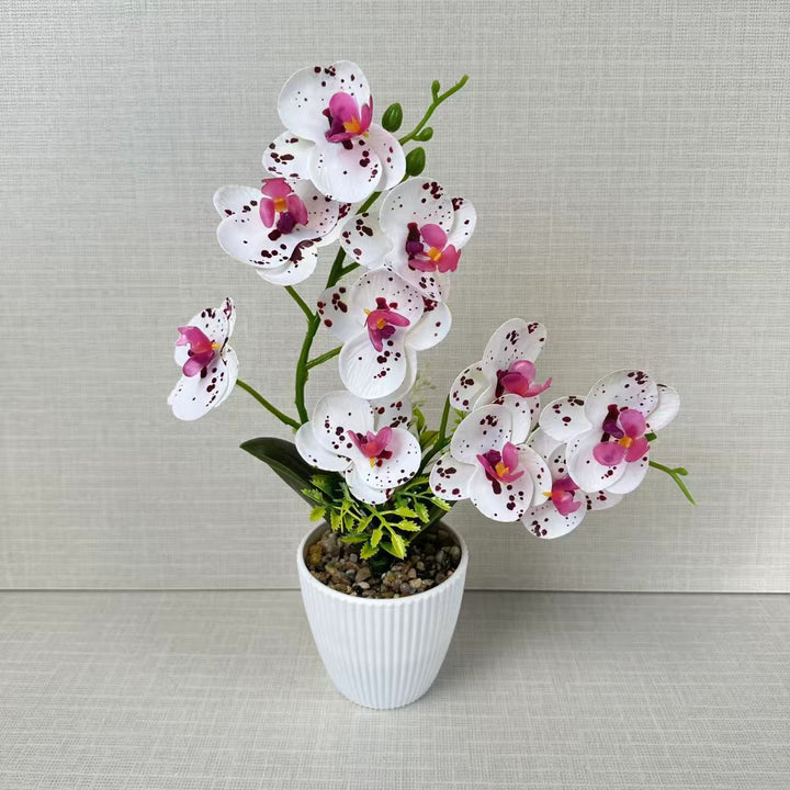 Kunstmatige Orchidee voor Woondecoratie en Binnenpresentatie