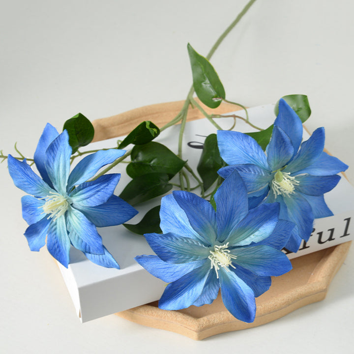 Decoratieve Florale Clematis Stengel