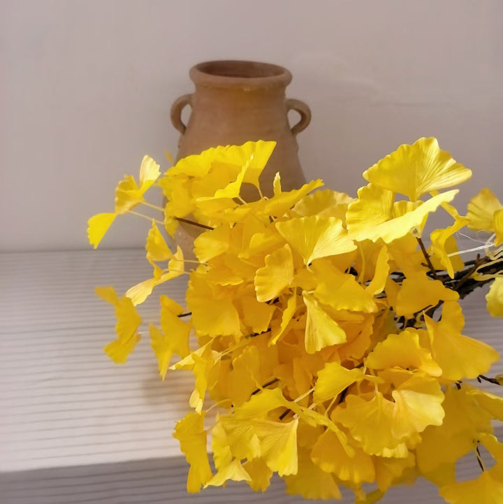 Ginkgo Biloba Decoratieve Tak
