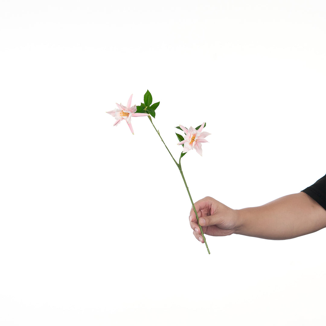 Levendige Multi-Bloom Bloemstengel