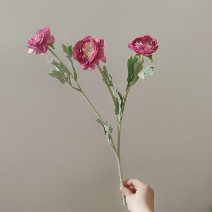 Levensechte Ranunculus Bloemsteel