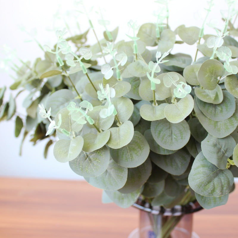 Decoratieve Eucalyptus en Bladarrangement