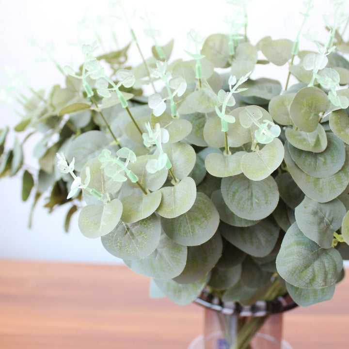 Decoratieve Eucalyptus en Bladarrangement