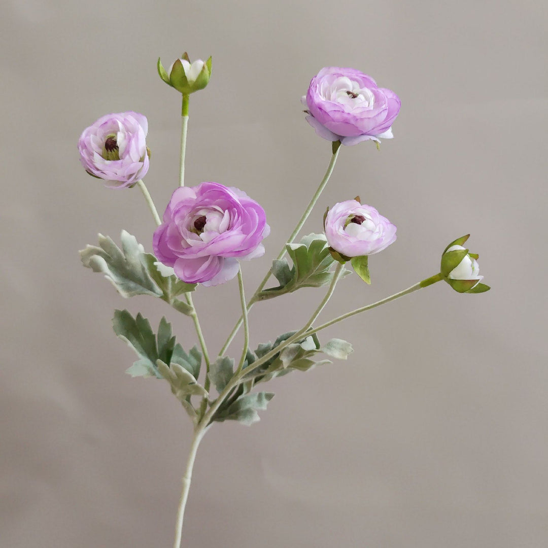 Levensechte Ranunculus Bloemsteel