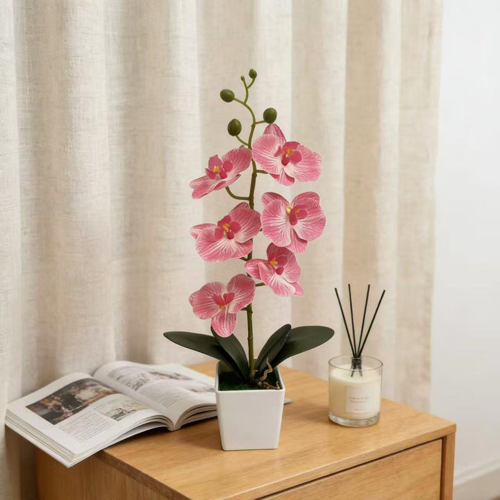 Elegante Kunstmatige Orchidee