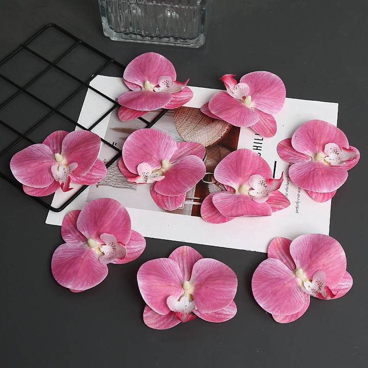 Decoratieve Orchidee Petal voor Thuisdecoratie Display