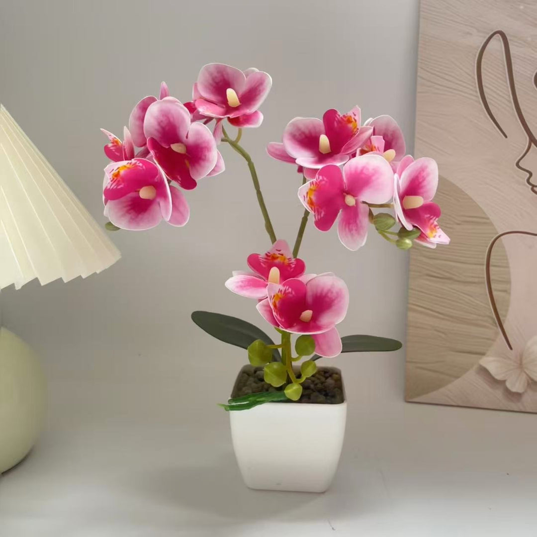 Levensechte Orchidee Plant Arrangement voor Thuisdecoratie