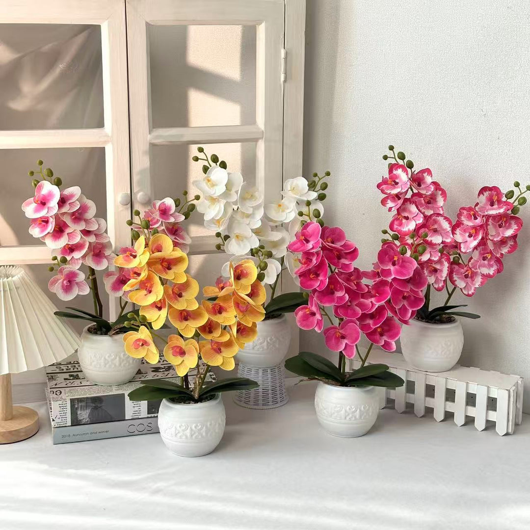Decoratieve Orchid voor Tafelblad Huisdecoratie