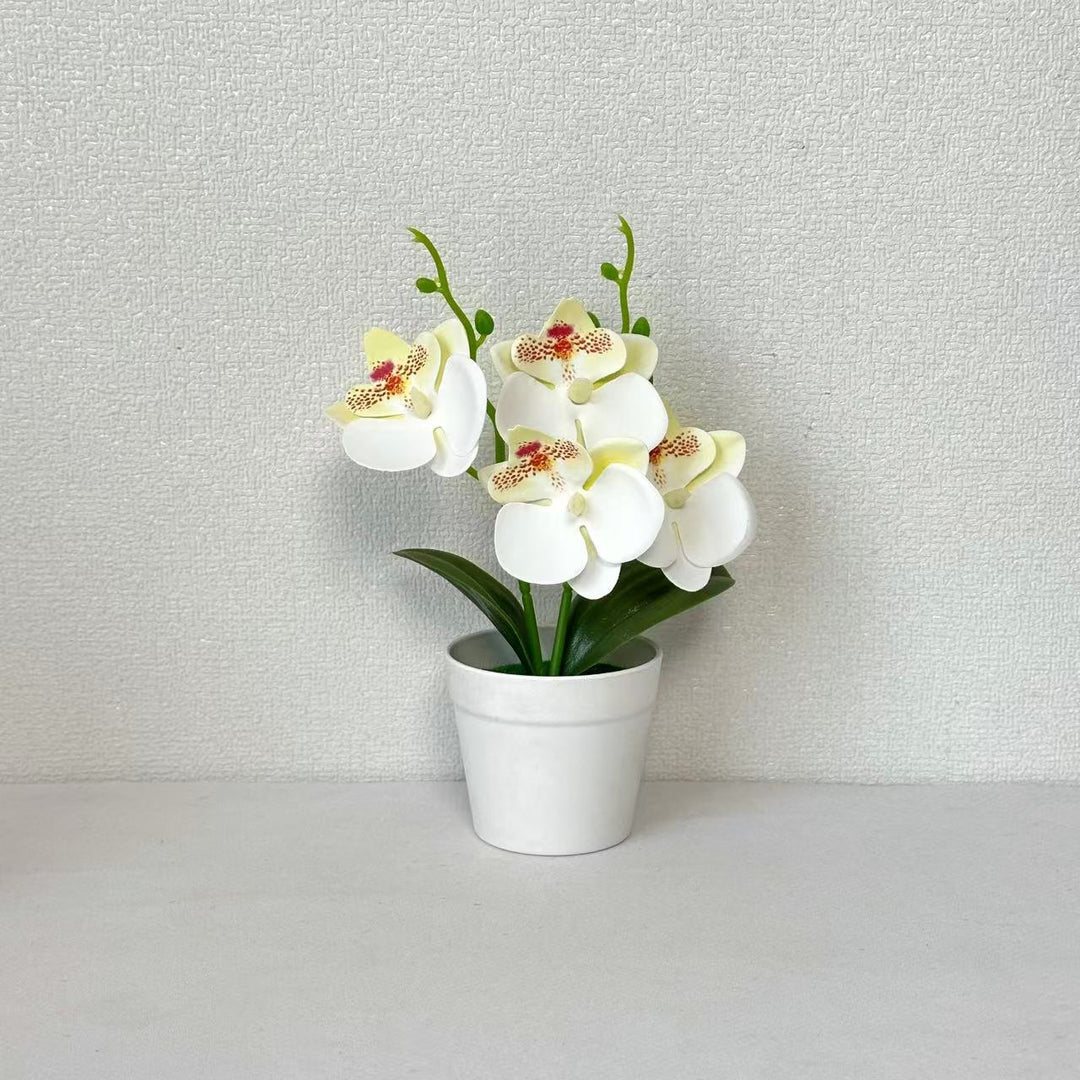 Elegante Decoratieve Orchidee Bloemarrangement voor Huisdecoratie