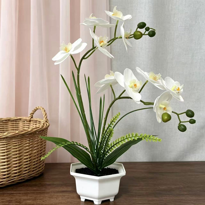 Home Decoratieve Kunstmatige Orchidee voor Thuisdecoratie en Tentoonstelling