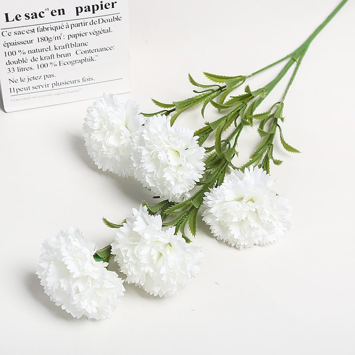 Realistische Bloemen Anjers Boeket