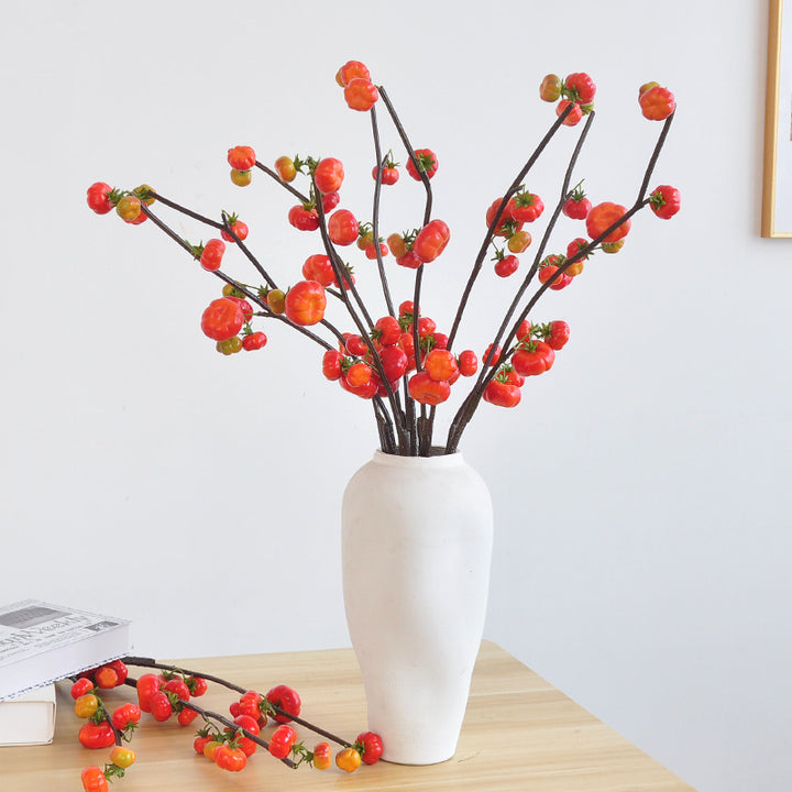 Decoratieve Nepplant