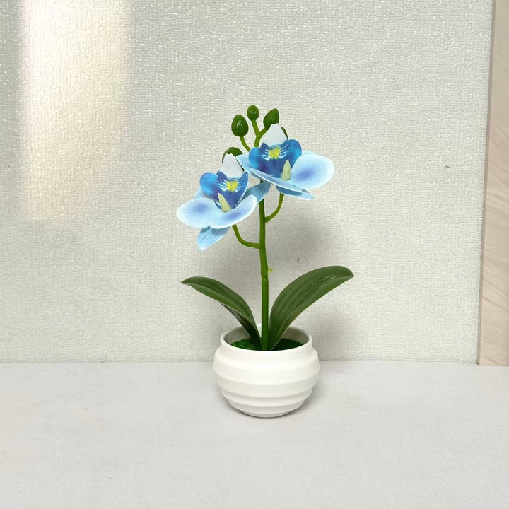 Levensechte Decoratieve Orchidee Plant Arrangement voor Huisdecoratie