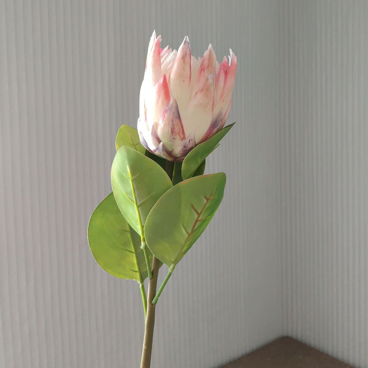 Levensechte Protea Bloem Steel