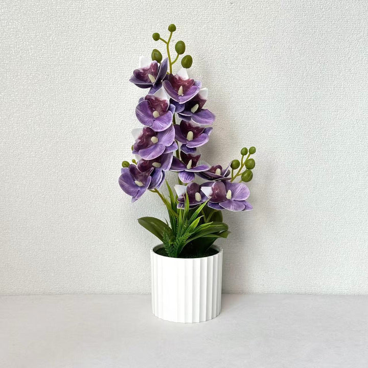 Realistische Binnen Orchidee Planten Arrangement