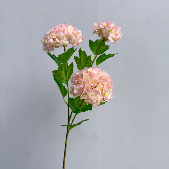 Decoratieve Hortensia Steel