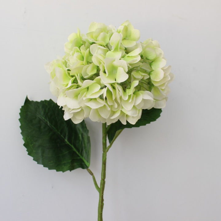 Levensechte Hortensia Bloem Steel
