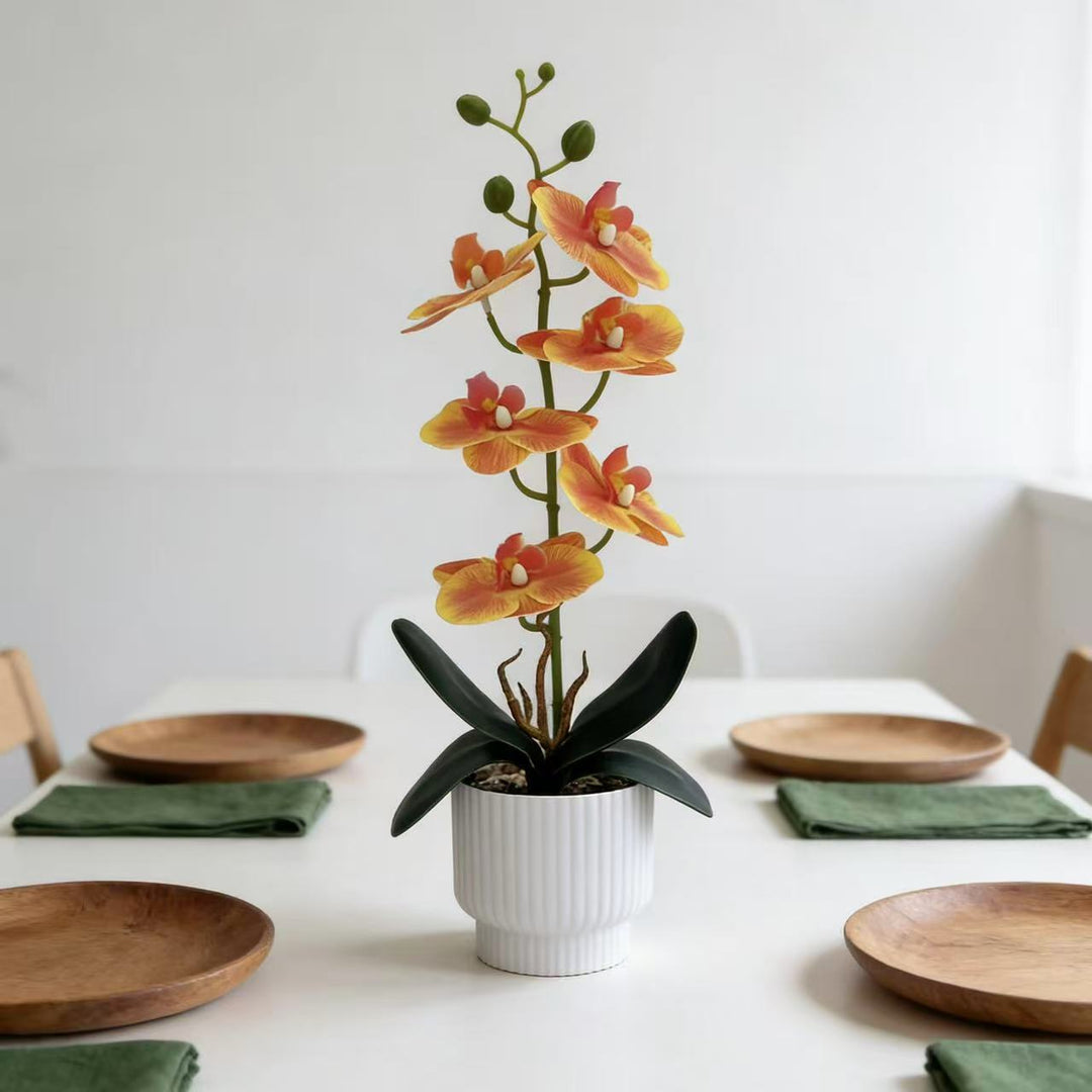 Elegante Nepphalla Plant Display voor Thuisdecoratie