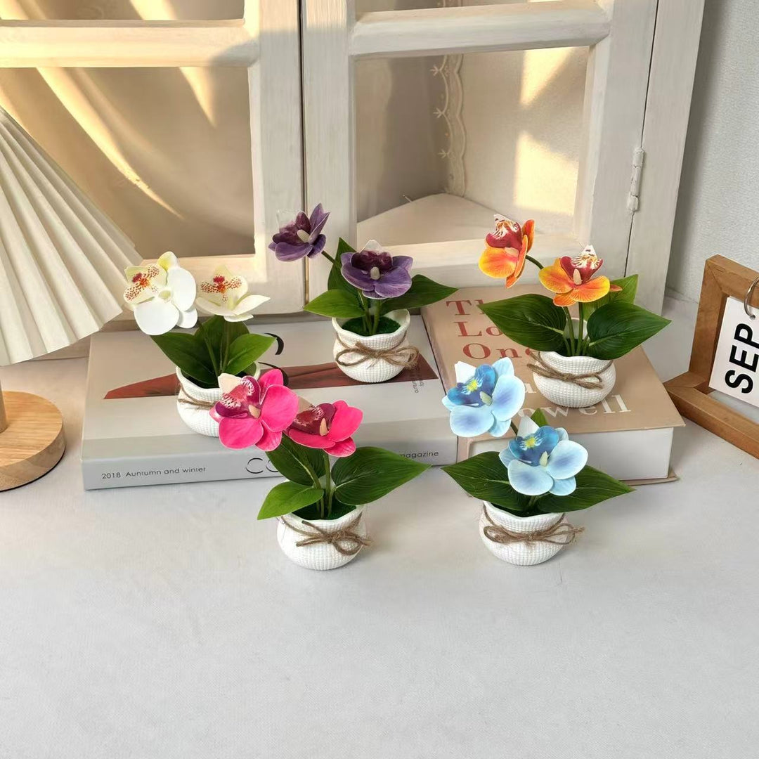 Decoratieve Potplant Orchidee Arrangement voor Binnengebruik