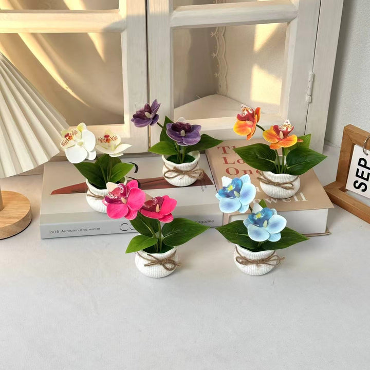 Decoratieve Potplant Orchidee Arrangement voor Binnengebruik