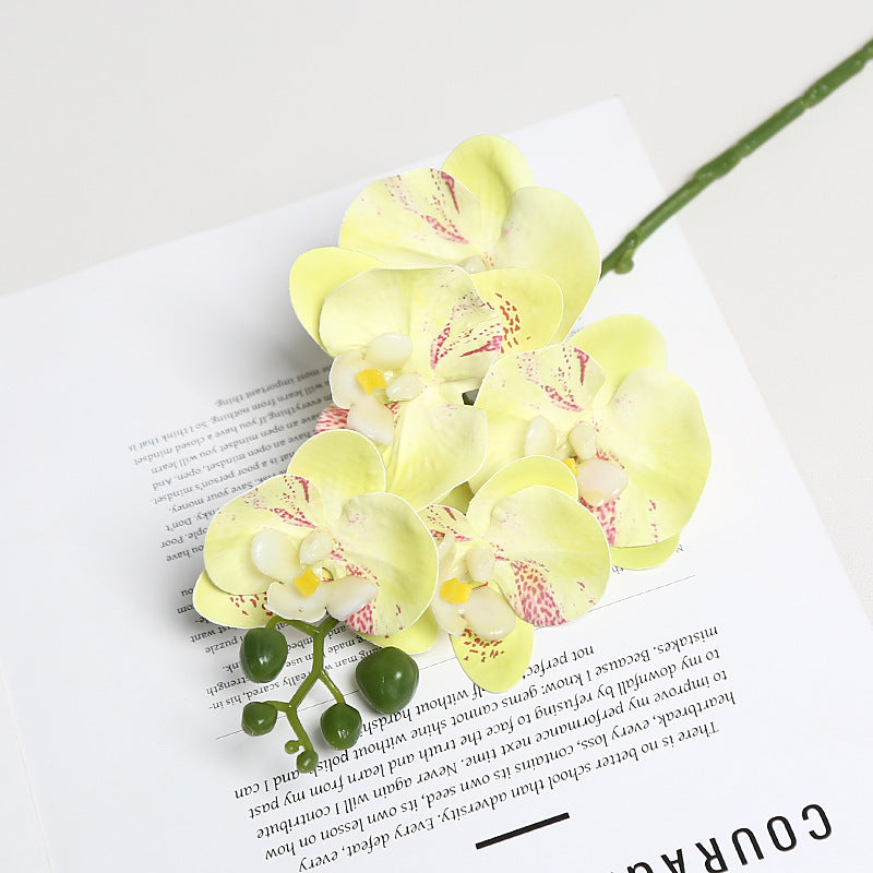 Realistische Orchidee Bloem Stem