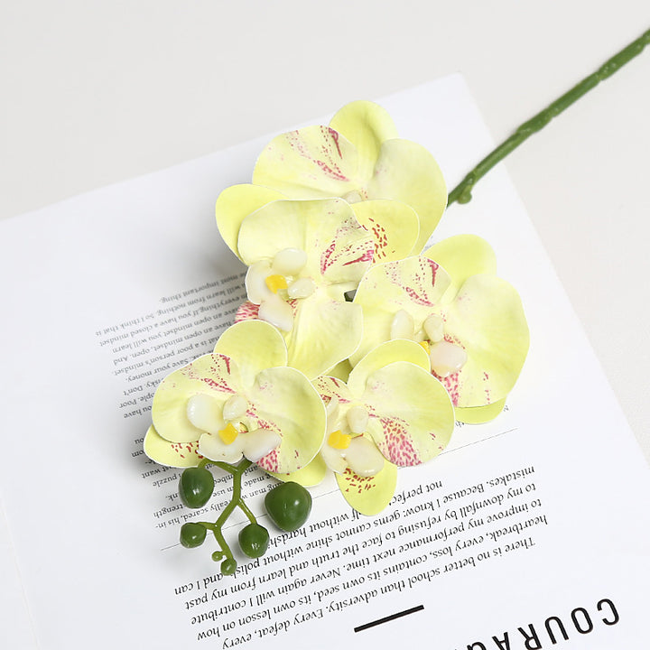 Realistische Orchidee Bloem Stem