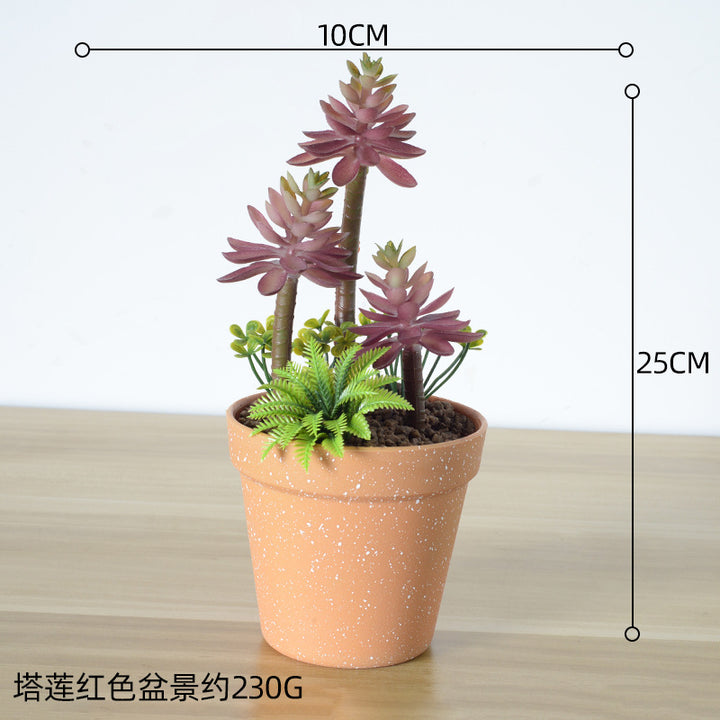 Kunstmatige Succulente Plantenarrangement