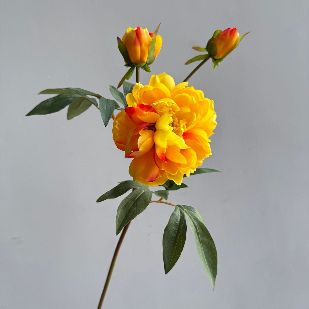 Decoratieve Bloemstukken