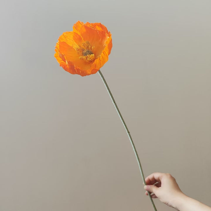 Elegante Nep Klaproos Bloem Steel