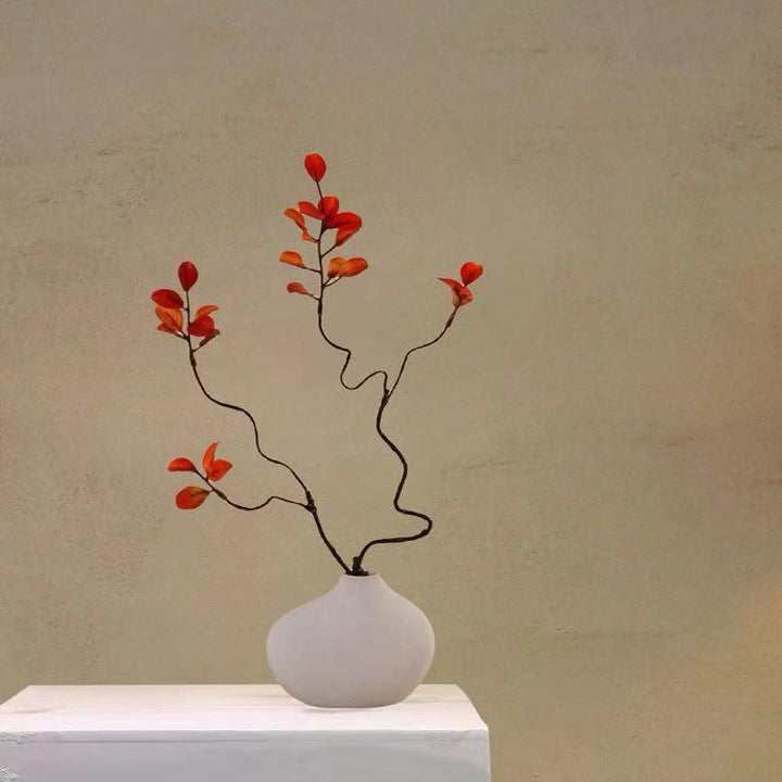 Minimalistische Decoratieve Plantenarrangement