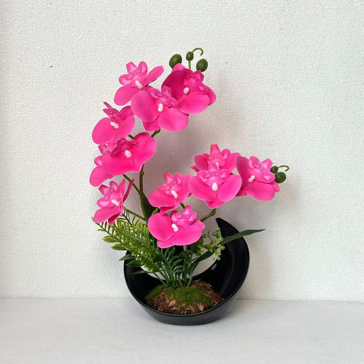 Levensechte Orchidee Bloemdisplay