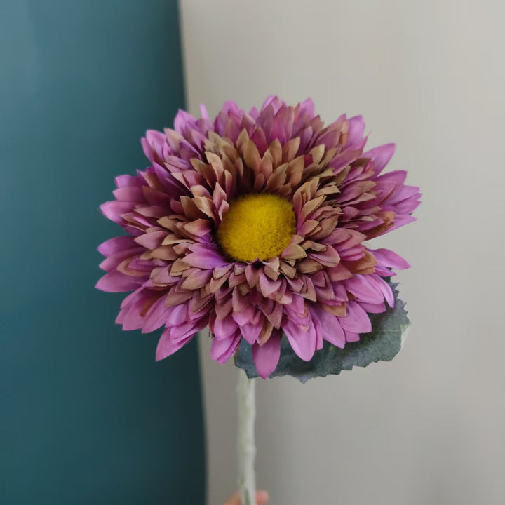 Levensechte Margriet Steel