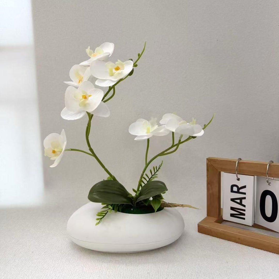 Levensechte Orchidee Bloemarrangement  1790480790