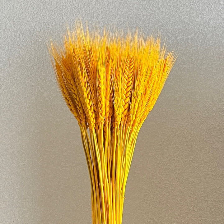 Decoratieve Tarwe Stengel Arrangement