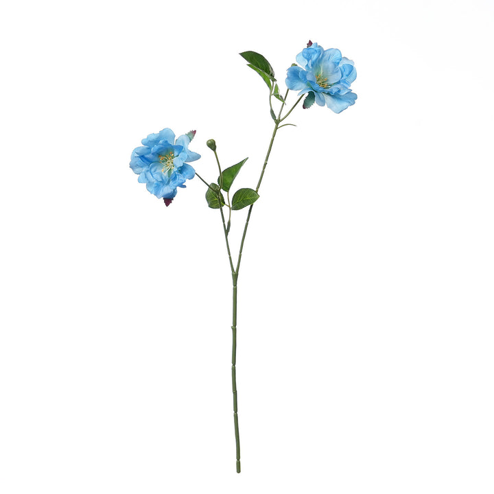 Decoratieve Neppers bloem
