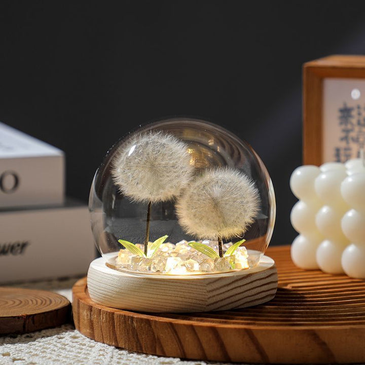 Decoratieve Glazen Terrarium