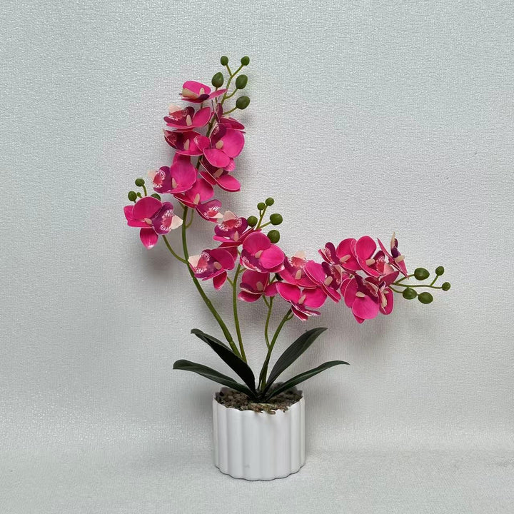 Kunstmatige Orchidee Bloemdisplay voor Thuisdecoratie en Binnendisplay