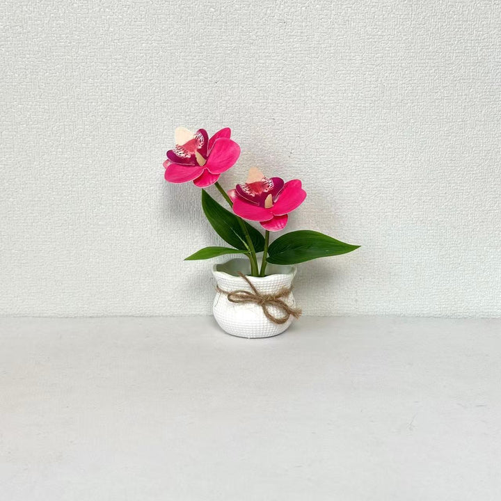 Decoratieve Potplant Orchidee Arrangement voor Binnengebruik