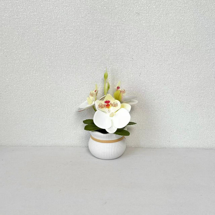 Decoratieve Potted Orchidee Arrangement voor Huishouddecoratie