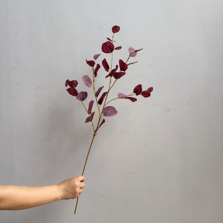 Elegante Decoratieve Eucalyptus Tak