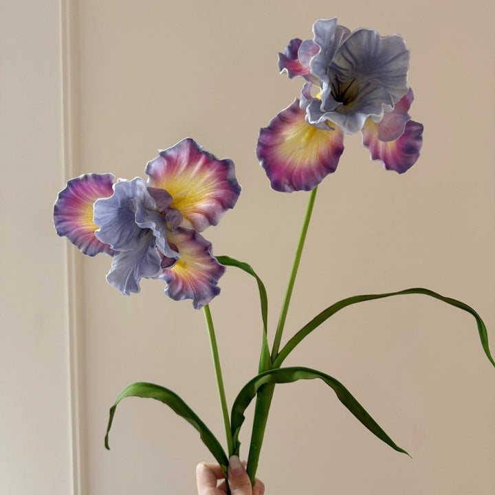 Decoratieve Iris Bloemsteel