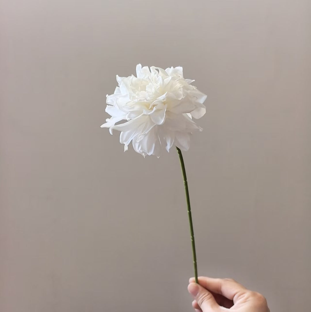 Levensechte Dahlia Steel