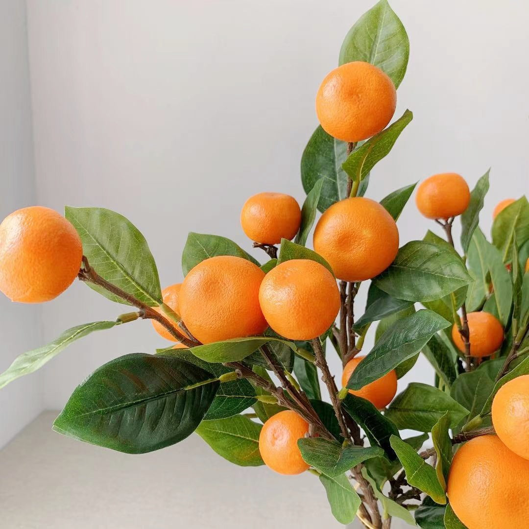 Decoratieve Citrusvruchtsteel